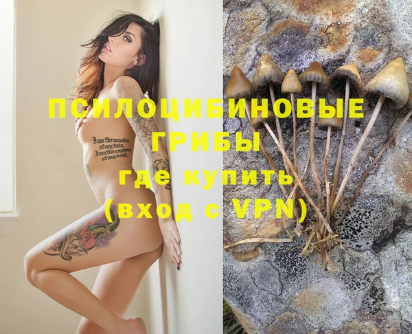 mdpv Алексин