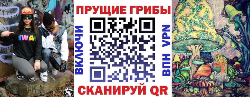 Галлюциногенные грибы Cubensis  сколько стоит  Болотное 